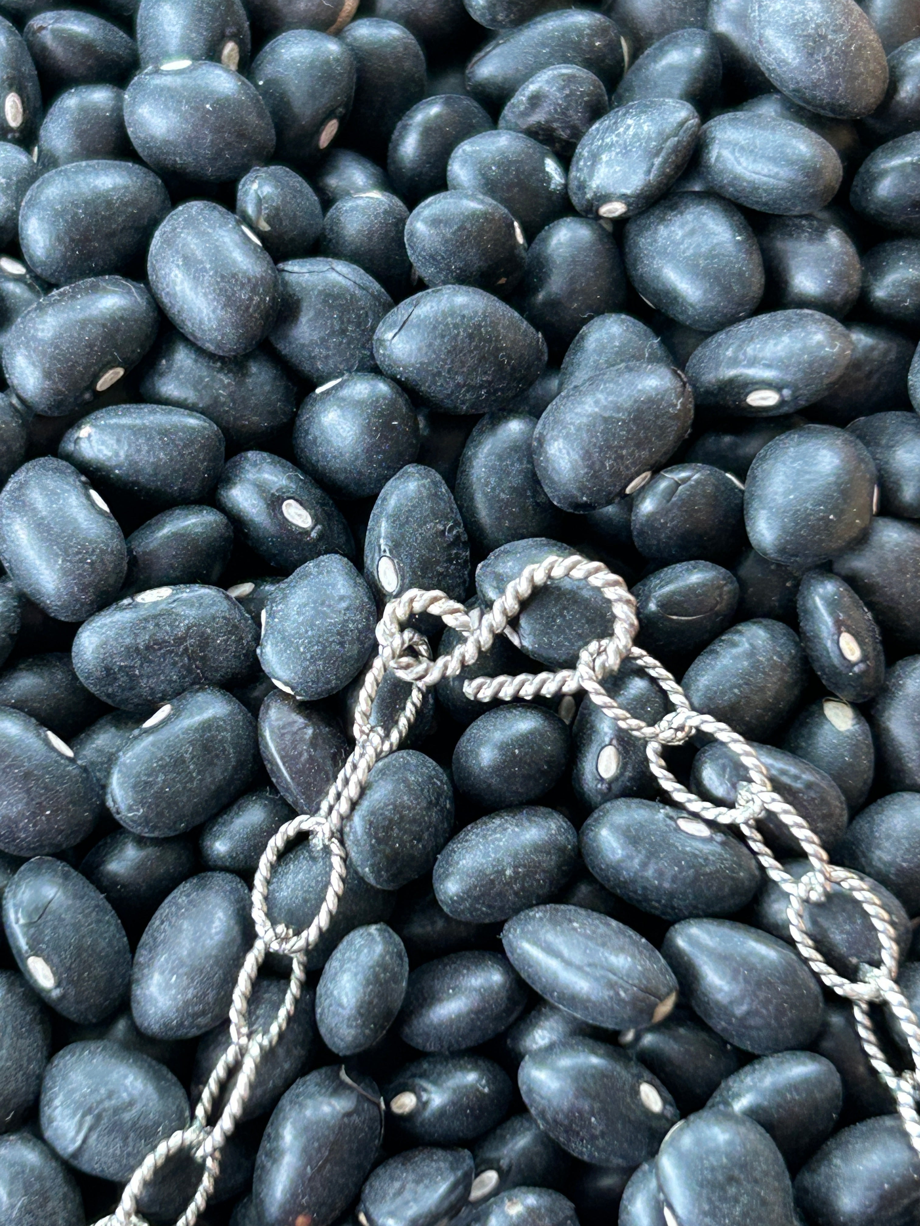 Sonoran Turquoise and Sterling Silver Bar Necklace